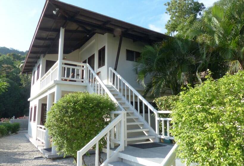 Отель Palm Beach Resort