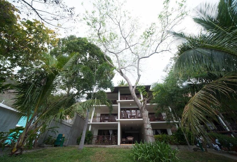 Отель Palm Beach Resort