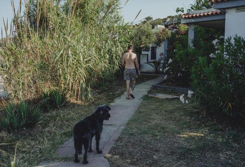 Acquasanta Europaclub