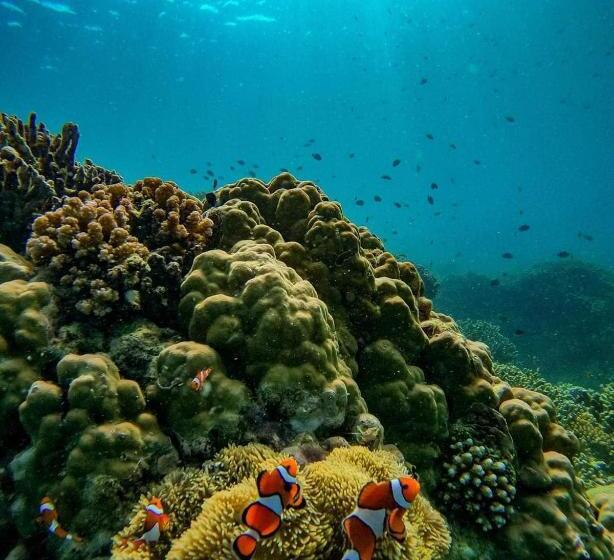 Pension A&c Aquino Guesthouse