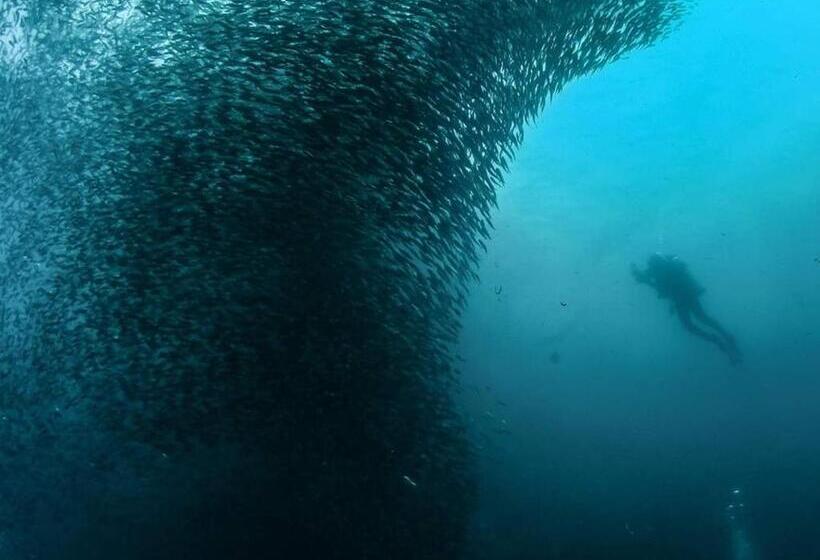 Pension A&c Aquino Guesthouse