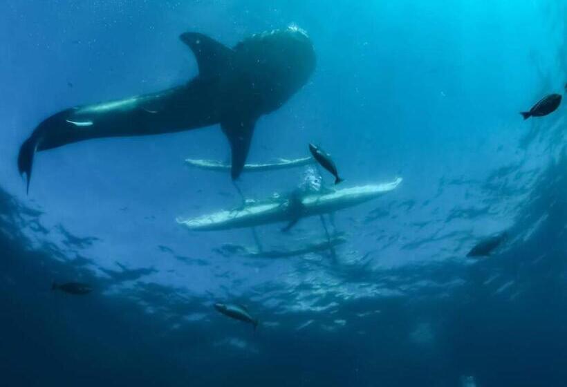 Pension A&c Aquino Guesthouse