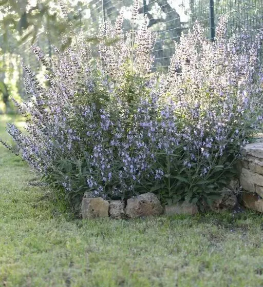 تختخواب و صبحانه Casa Di Campagna
