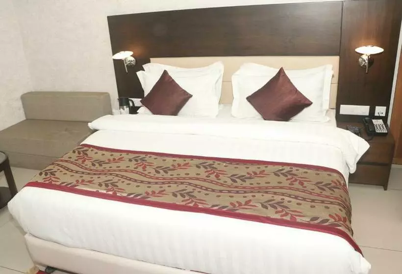 Aamiaismajoitus (B&B) Solista, Chittorgarh