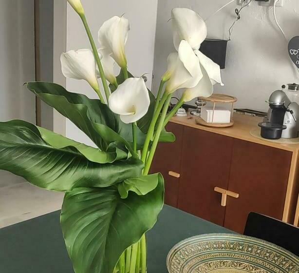 צימר Guestready   Villa Paraíso Da Caparica