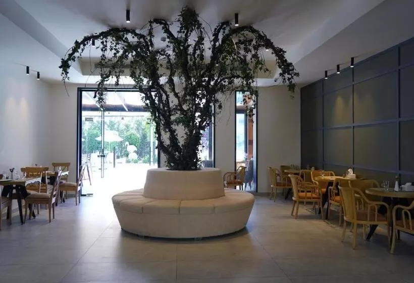 Aitch Boutique Hotel   An Lih