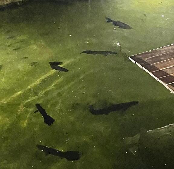 هتل Pousada Nossas Raízes