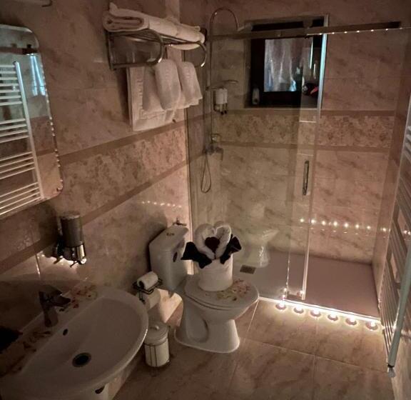 پانسیون Casa Old Brick