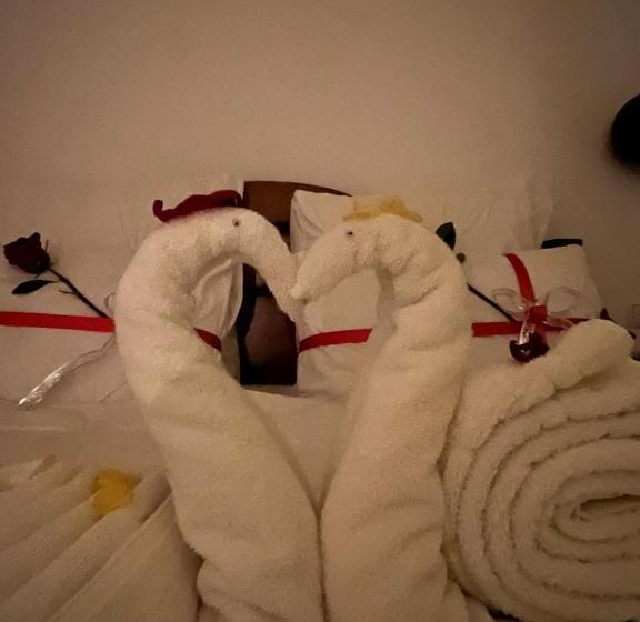 پانسیون Casa Old Brick