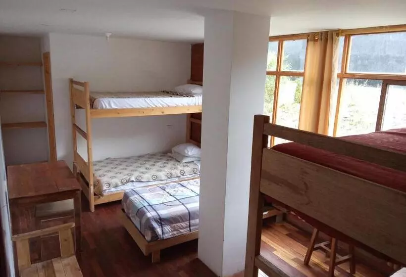 ベッドアンドブレックファースト Backpackers Balcones River Lodge