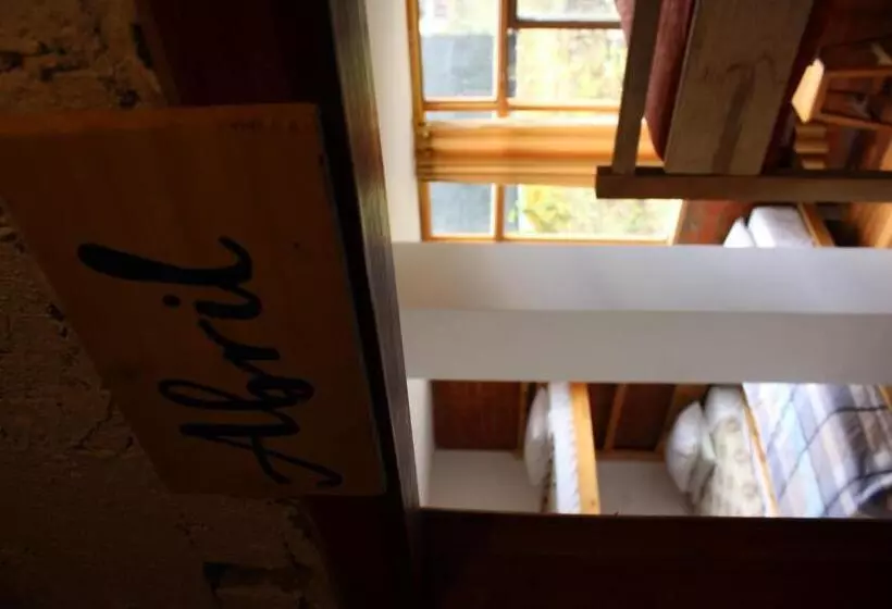 ベッドアンドブレックファースト Backpackers Balcones River Lodge