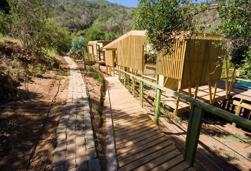 Aamiaismajoitus (B&B) Cabaña Con Tinaja En Viña Narbona Wines