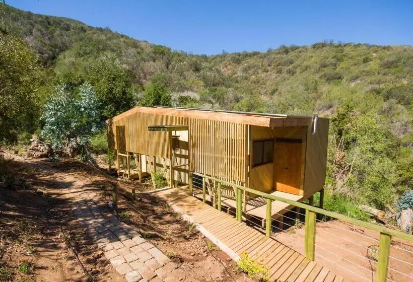 Aamiaismajoitus (B&B) Cabaña Con Tinaja En Viña Narbona Wines