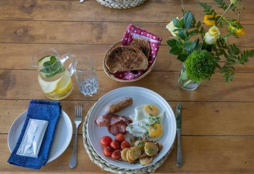 住宿加早餐  The Owl House