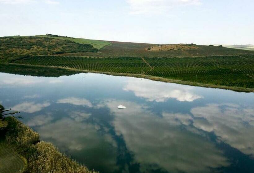 住宿加早餐  The Owl House