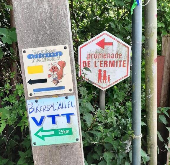 Hallerbos B&b In Bluebell Forest