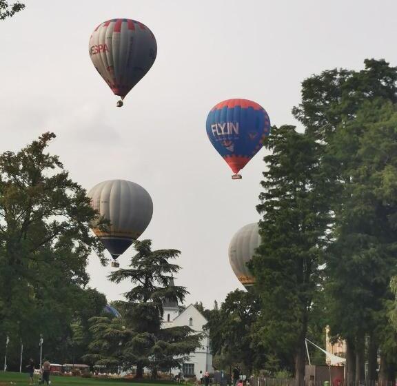 Hallerbos B&b In Bluebell Forest