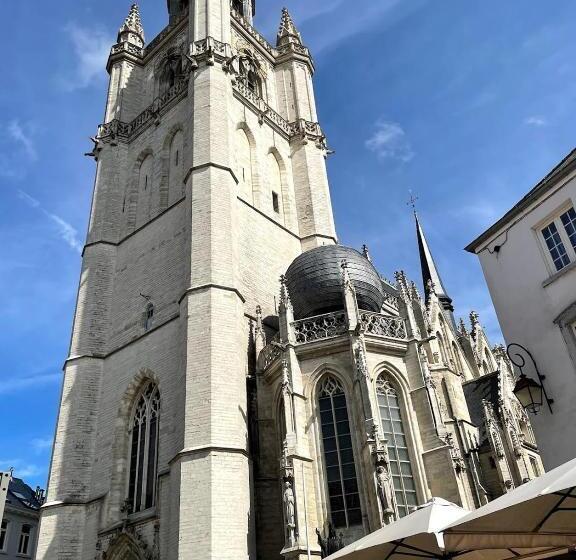 Hallerbos B&b In Bluebell Forest