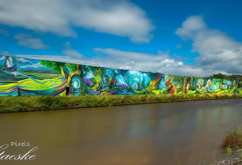 Hallerbos B&b In Bluebell Forest