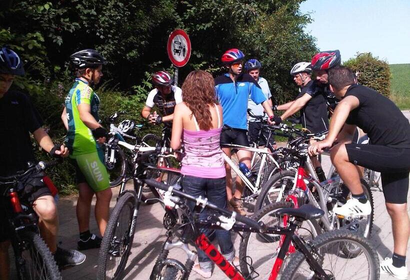 Hallerbos B&b In Bluebell Forest