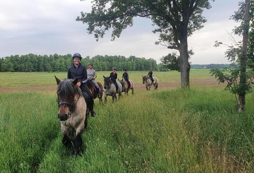 Hallerbos B&b In Bluebell Forest