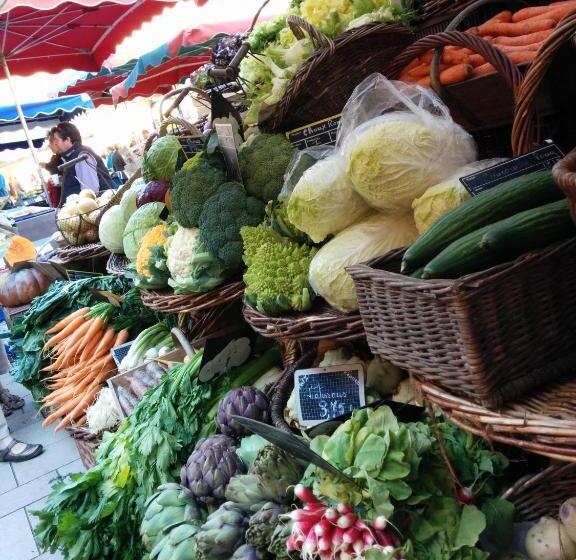 Hallerbos B&b In Bluebell Forest