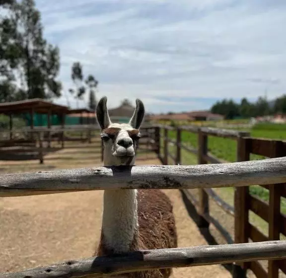 هتل La Finka Cajamarca