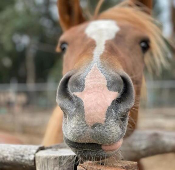 هتل La Finka Cajamarca