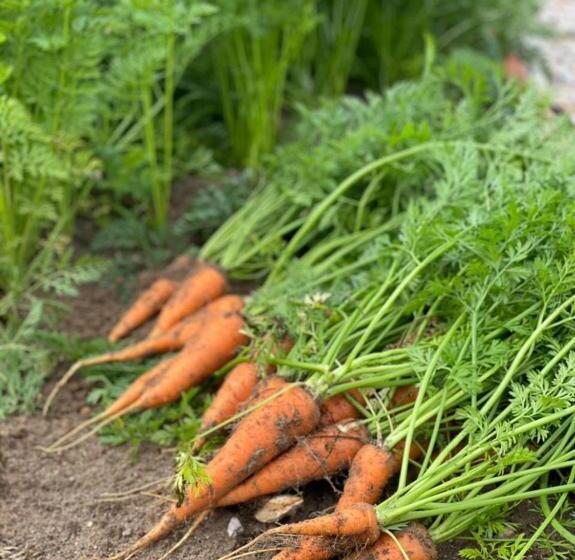 هتل La Finka Cajamarca