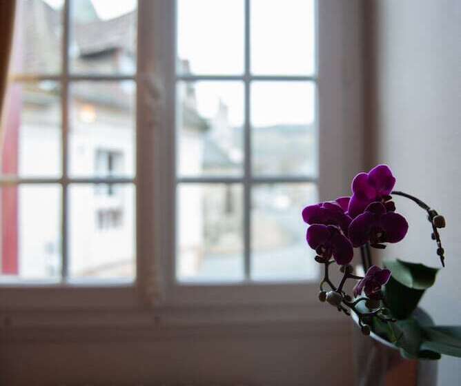 פנסיון La Maison Carpe Diem