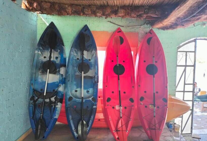 هاستل Go Inn Backpackers