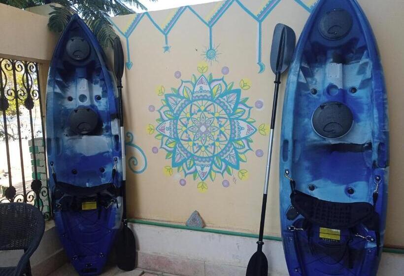 هاستل Go Inn Backpackers