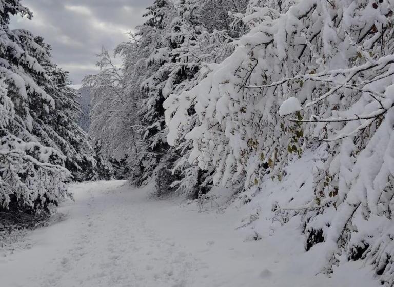 민박 Chambre Et Table D Hôtes La Grande Ourse