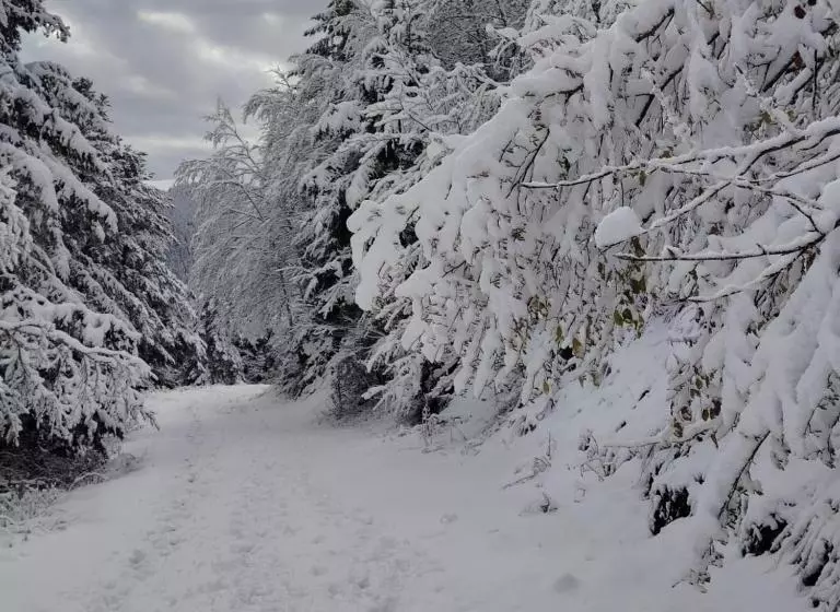Aamiaismajoitus (B&B) Chambre Et Table D Hôtes La Grande Ourse