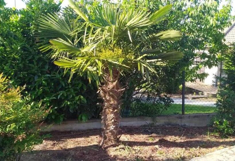 تختخواب و صبحانه L Escale Du Monde