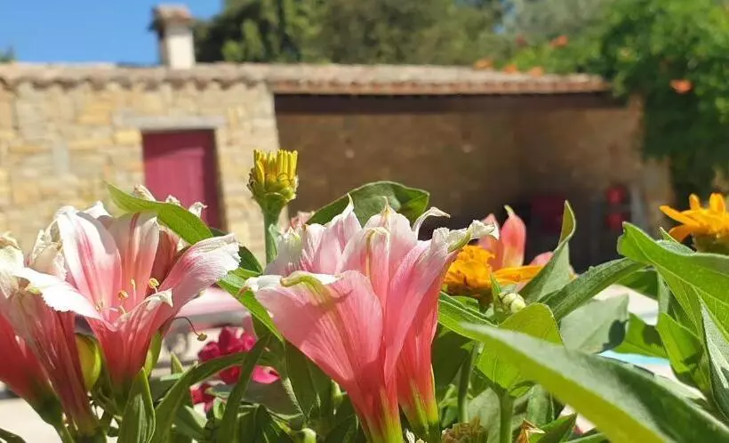 Aamiaismajoitus (B&B) Mas Des Rochers   Romance Tropicale