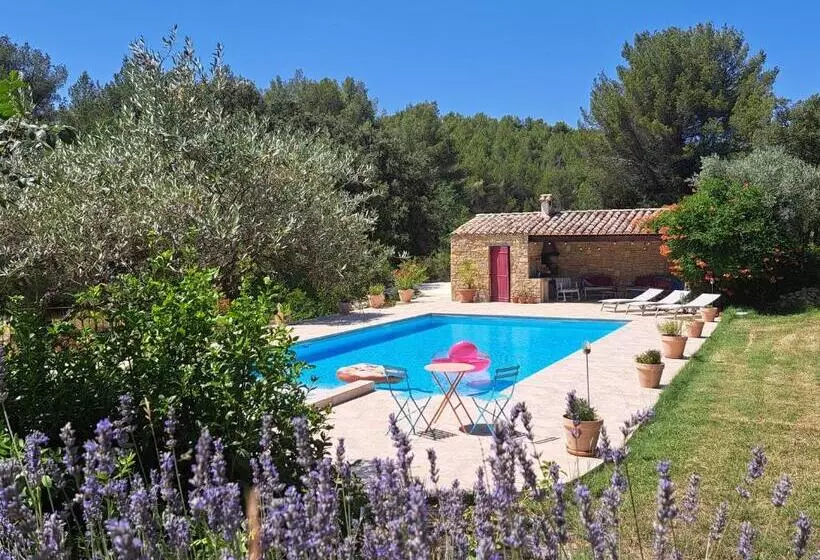 Aamiaismajoitus (B&B) Mas Des Rochers   Romance Tropicale