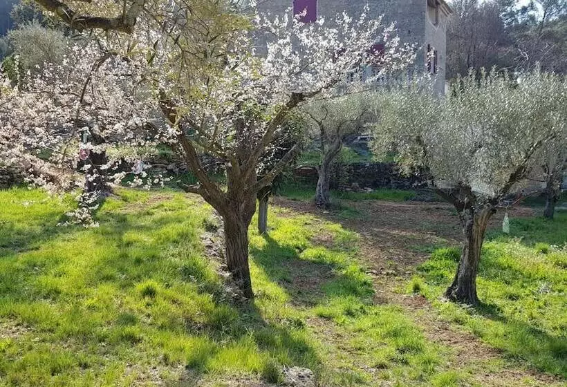 Aamiaismajoitus (B&B) Mas Des Rochers   Romance Tropicale