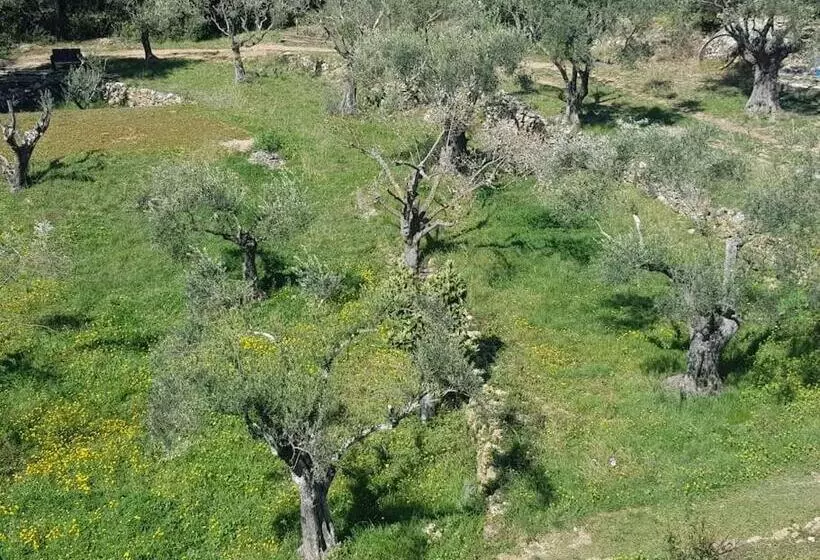 Aamiaismajoitus (B&B) Mas Des Rochers   Romance Tropicale