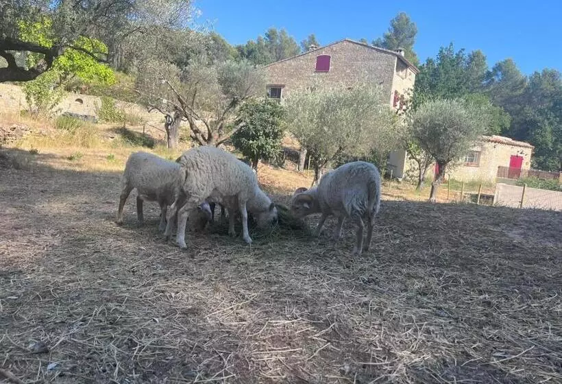 Aamiaismajoitus (B&B) Mas Des Rochers   Romance Tropicale