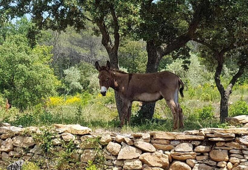 ベッドアンドブレックファースト Mas Des Rochers   Romance Tropicale