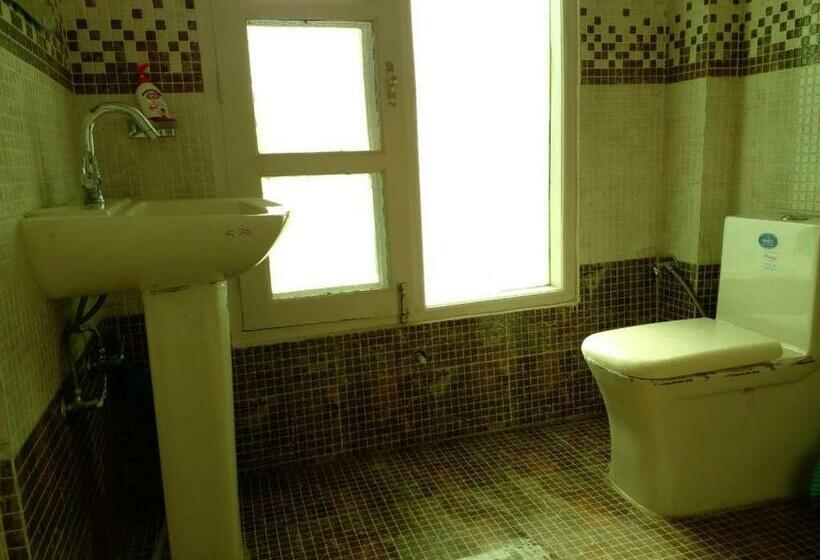 Bed and Breakfast Royal Ace With Balcony View Mashobra