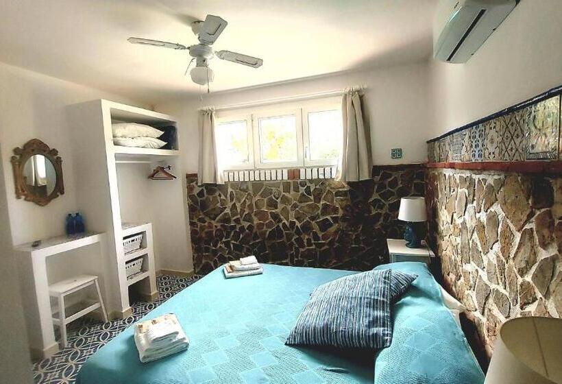 Vfh Villa Flavia Eco B&b   50 Metri Dal Mare