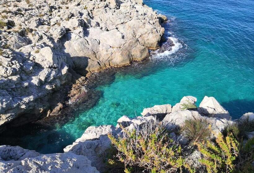 Vfh Villa Flavia Eco B&b   50 Metri Dal Mare