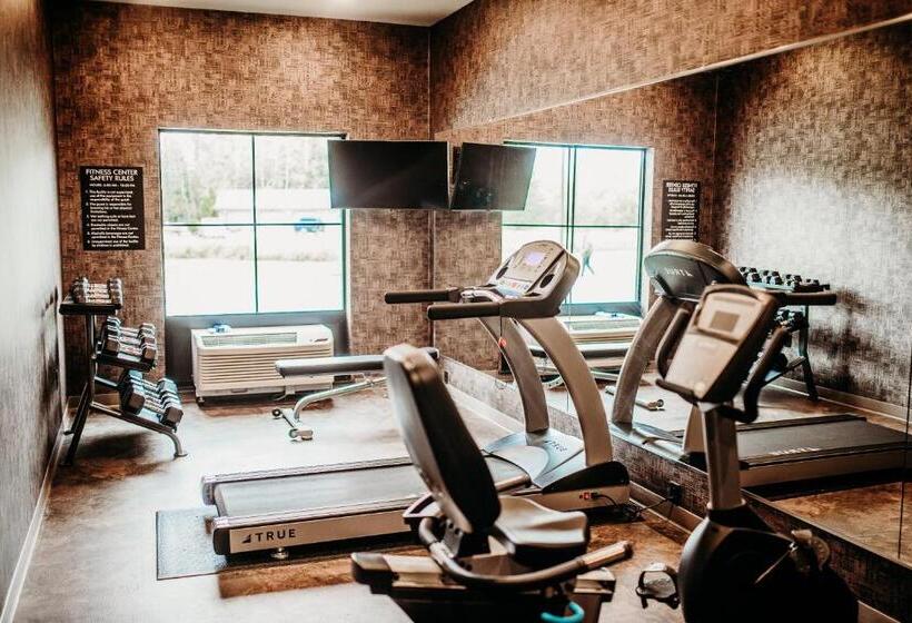 Cobblestone Hotel & Suites International Falls