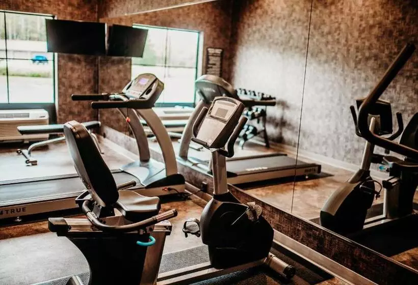 Cobblestone Hotel & Suites International Falls