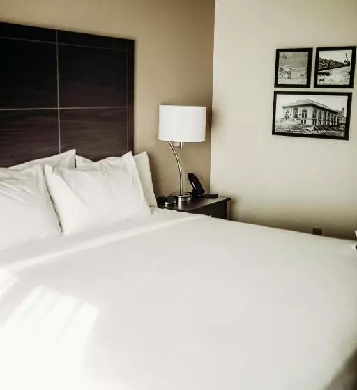 Cobblestone Hotel & Suites International Falls