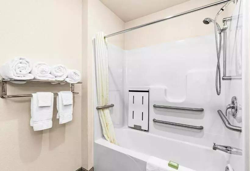 Cobblestone Hotel & Suites International Falls