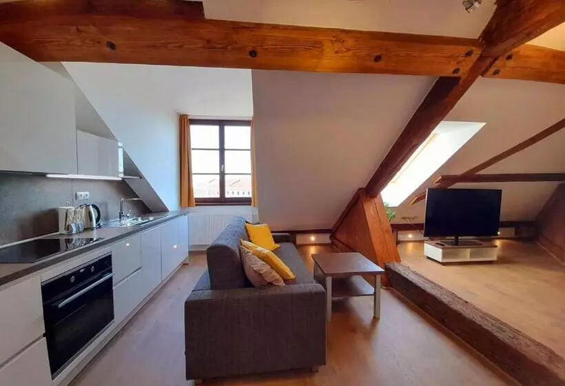 ホテル Residence Mariánská