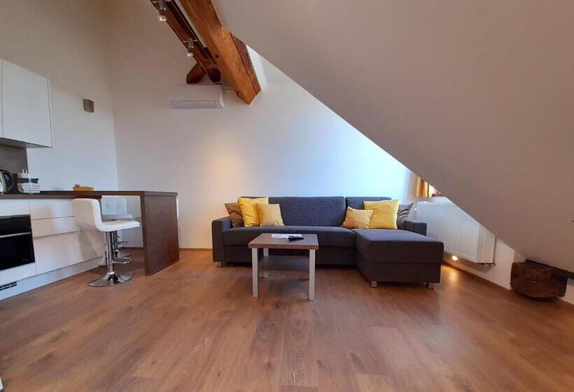 호텔 Residence Mariánská